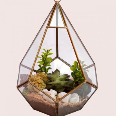 Fresh Terrarium Succulent plants | Succulent Terrarium (20x30cm) | Blooms Flowers