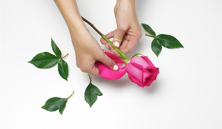 Remove some of the outermost petals