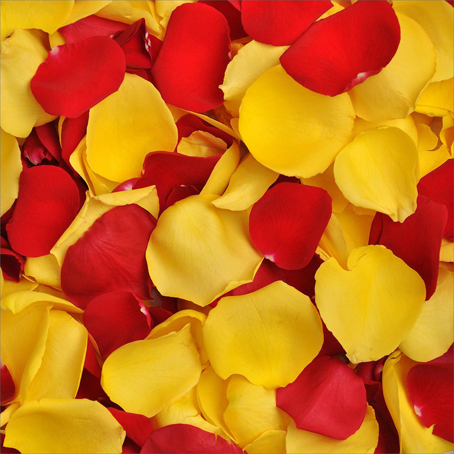 the menaning behind each flower
